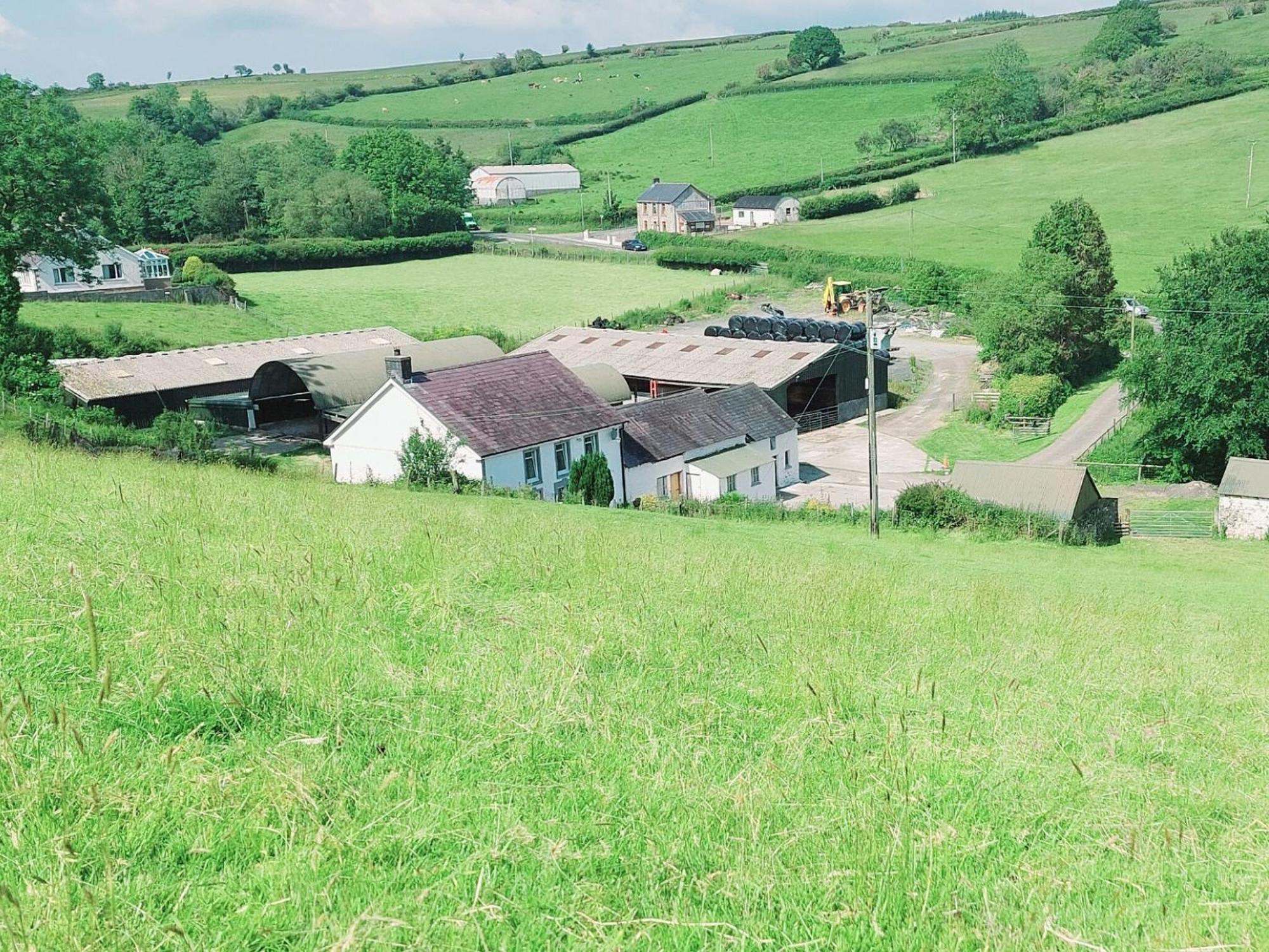 Typicca Farmhouse Brechfa Экстерьер фото
